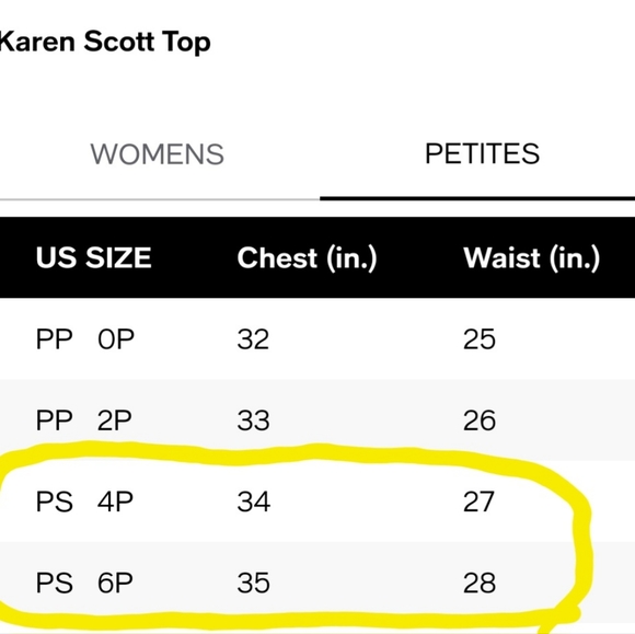 NWT Karen Scott Mock Neck Acrylic Sweater; Zip Neck Back Closure in Aquifer; P/S - Picture 6 of 8